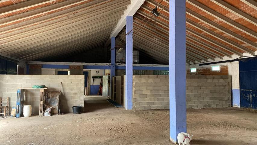 Campamento para reformar en camping o glamping photo 0