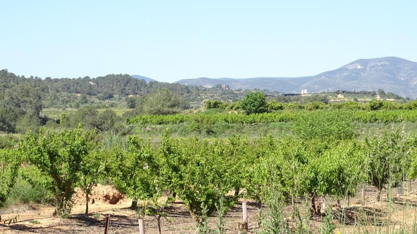 Terreno en venta en Vilamarxant photo 0