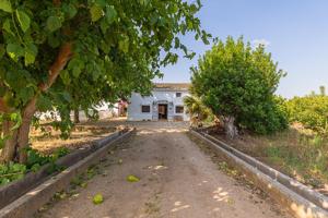 Finca rústica en venta sobre 35 hanegadas a solo 500 metros de Alzira. photo 0