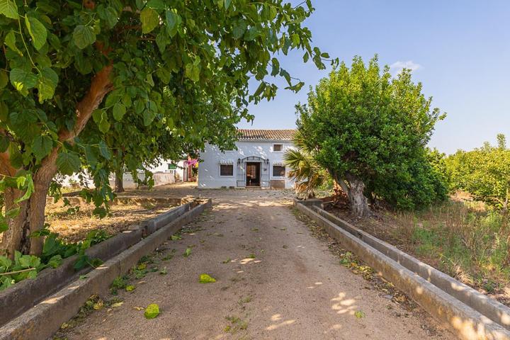 Finca rústica en venta sobre 35 hanegadas a solo 500 metros de Alzira. photo 0