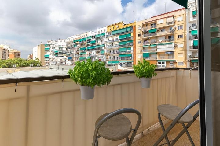 Piso en Nou Moles 3 habitaciones photo 0