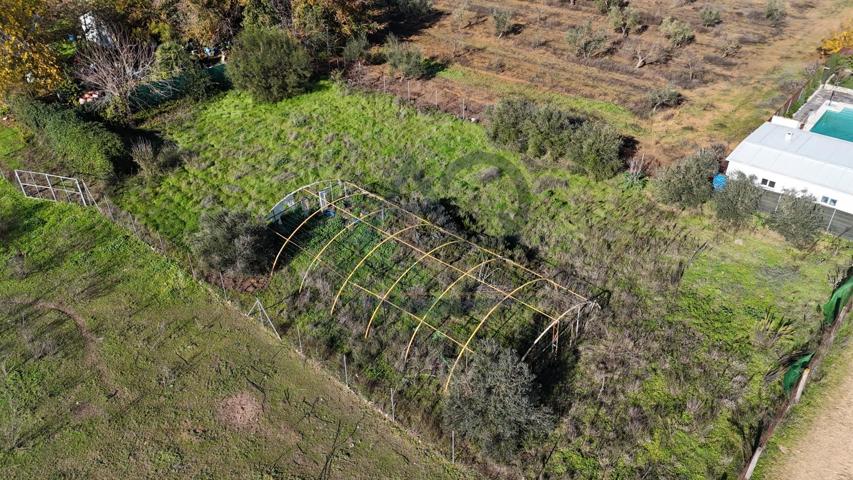 TERRENO EN LA DEHESILLA photo 0