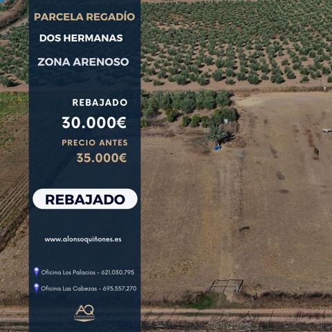 PARCELA RUSTICA REGADÍO photo 0