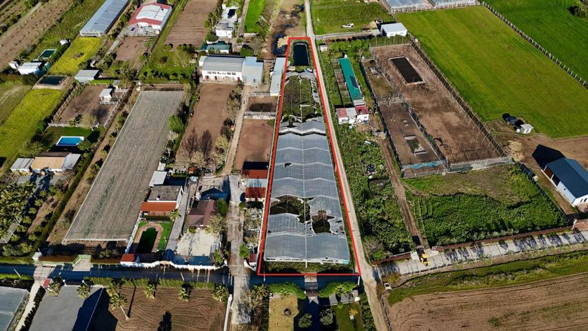 PARCELA RÚSTICA CON INVERNADEROS Y EMBALSE photo 0