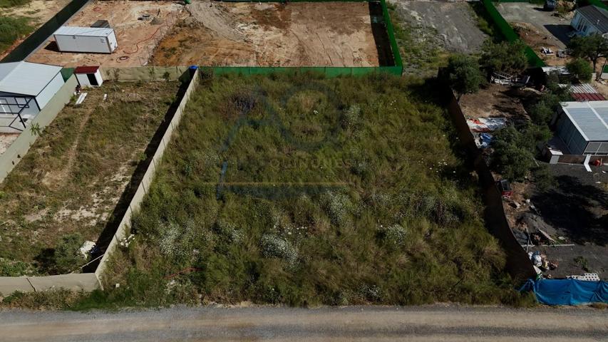 PARCELA DE 500M EN OLIVARES photo 0