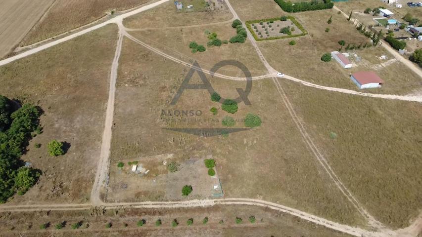 🌾 Parcela rústica en Término Municipal de Utrera – Zona Tamaninos y La Indiana 🌾 photo 0