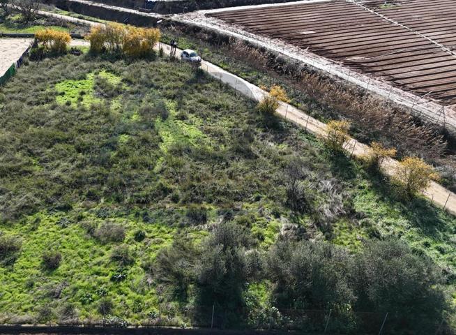TERRENO EN CAMINO LOS PERROS photo 0