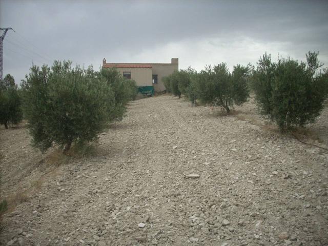 TERRENO DE 48.000M² CON ALMACEN DE 200M² CON DEPENDENCIAS Y BAÑO photo 0
