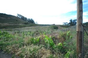 Terreno rústico agrario en Guamasa photo 0