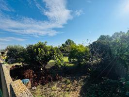 TERRENO photo 0