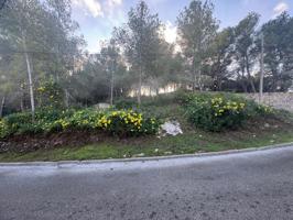 TERRENO ESQUINERO ZONA MONTAÑA photo 0