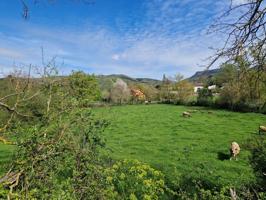 EN VENTA FINCA URBANA DE 2600 M2 EN EL VALLE DE MENA photo 0