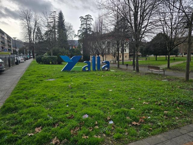 EN VENTA PARCELAS DE GARAJE EN ZALLA photo 0