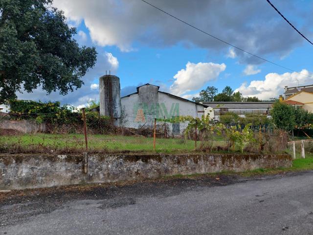 PARCELA CON DOS GRANJAS ZONA CEBOLIÑO photo 0