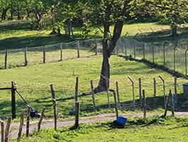 FINCA EN LA CHALANA ( LAVIANA) photo 0