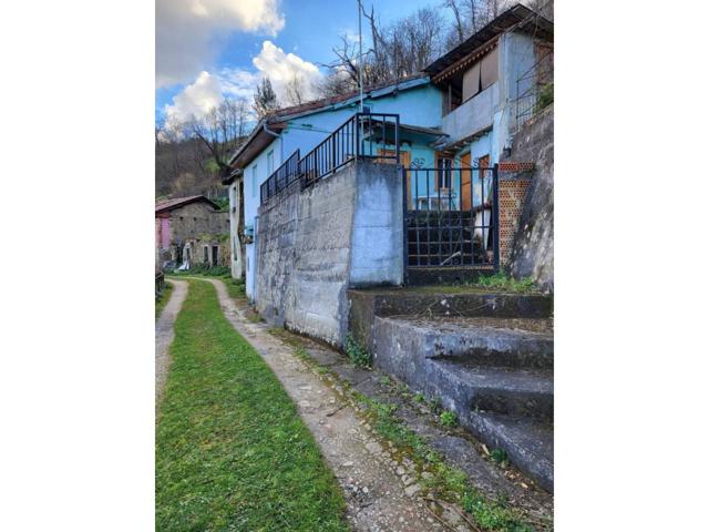 CASA RÚSTICA EN EL COSTAYU -LA CEREZAL - SAN MARTIN DEL REY AURELIO (ASTURIAS) photo 0