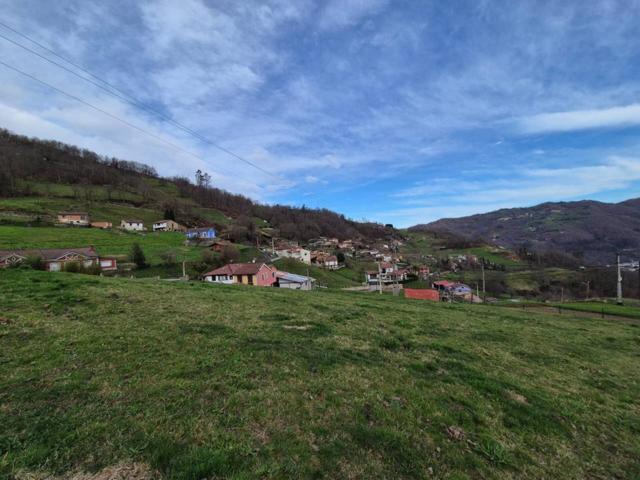 FINCA EDIFICABLE EN SAN MARTIN DEL REY AURELIO (ASTURIAS) photo 0