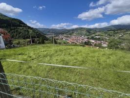 FINCA EDIFICABLE EN CANZANA (LAVIANA) photo 0