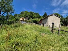 FINCA EN LLOREO (LAVIANA) photo 0