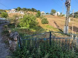 FINCA EDIFICABLE EN LAVIANA photo 0