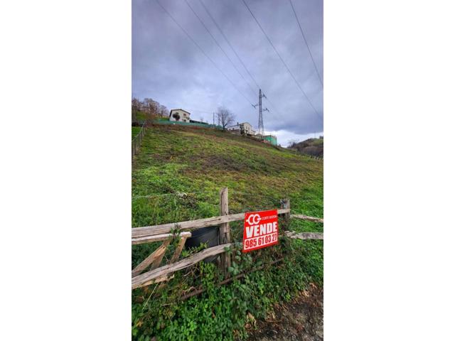 FINCA EDIFICABLE EN LAVIANA photo 0