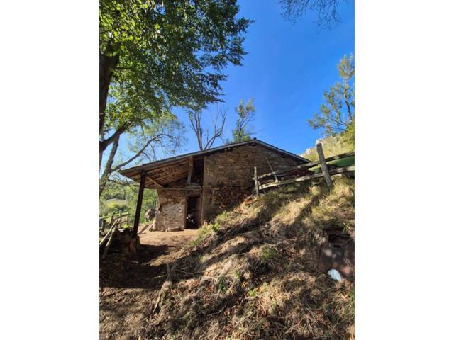 FINCA CON CUADRA Y CABAÑA EN VILLARÍN ( LAVIANA ) ASTURIAS photo 0