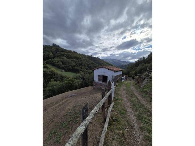 FINCA CON CUADRA EN EL CABAÑÓN (TIRAÑA) photo 0