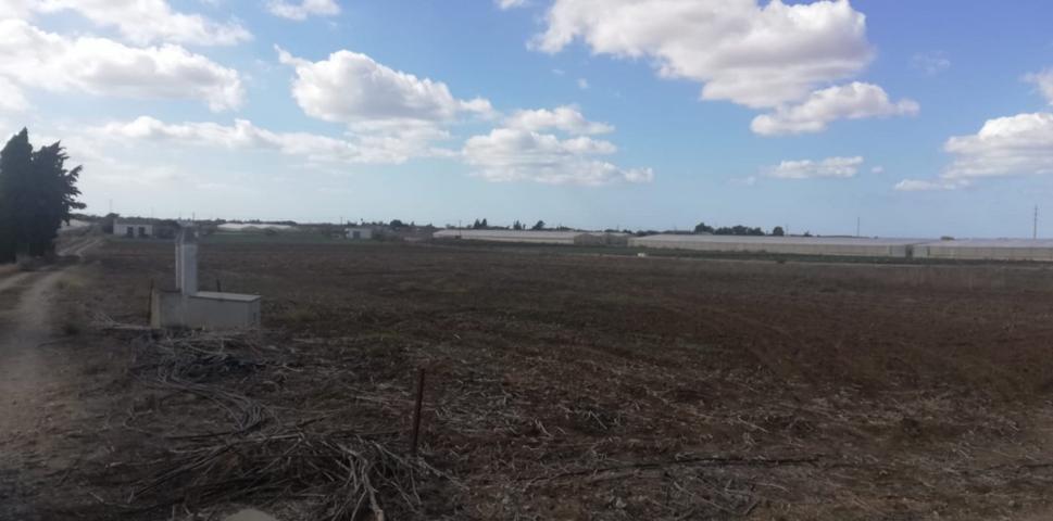 FINCA RUSTICA PARA SIEMBRA photo 0