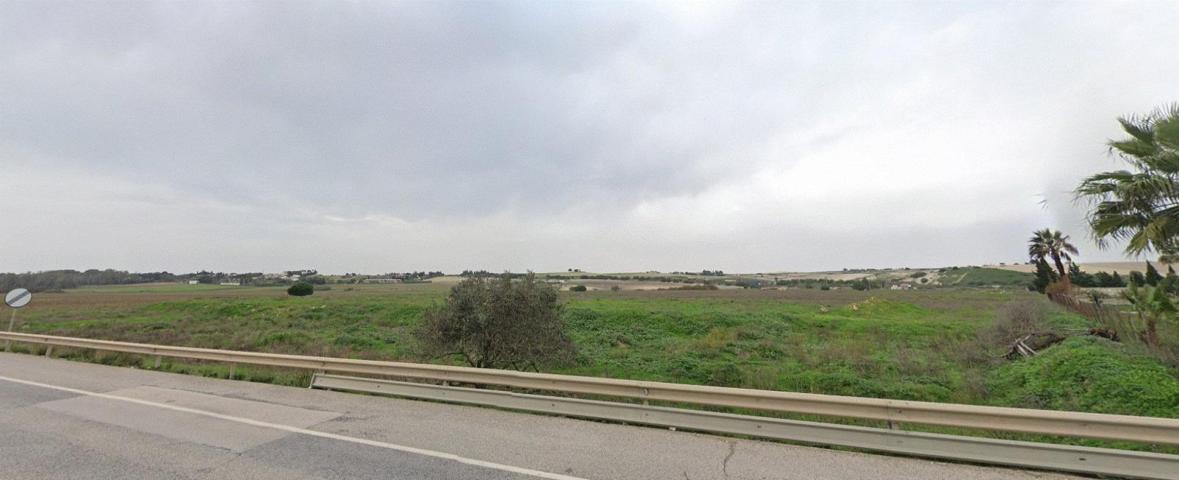 TERRENO DE DIEZ ARANZADAS DE TIERRA photo 0