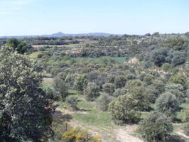 FINCA RUSTICA CON ARBOLES TRUFA NEGRA EN ZONA BARBASTRO photo 0