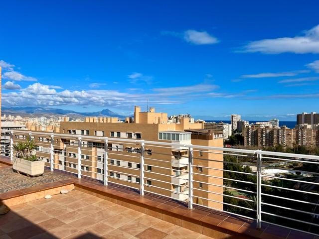 Exclusivo Ático-Dúplex en la Urb. Azaleas II. Playa San Juan, Alicante. photo 0