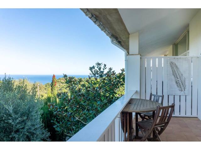 Casa con Jardín y Patio photo 0