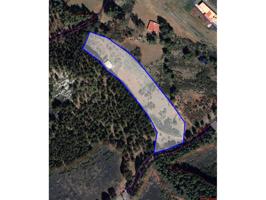 Finca con vivienda en Venta en Llanos de Pez, Gran Canaria photo 0