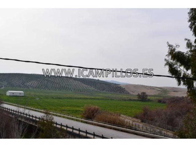 CASA DE CAMPO LEGAL POR 28.000 EUROS. photo 0