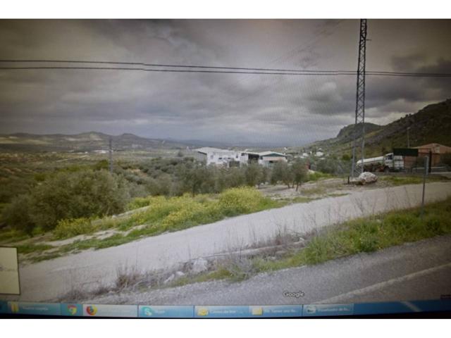PARCELA DE OLIVAR, 2.540 M2 DE PARCELA, EDIFICABLE. photo 0