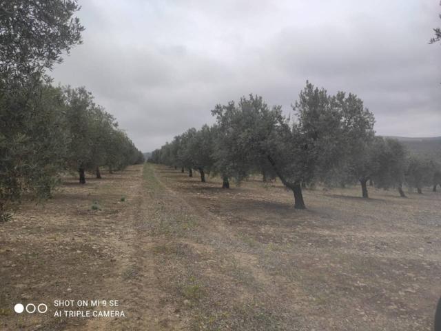 Finca rustica en venta en Castro del Río photo 0