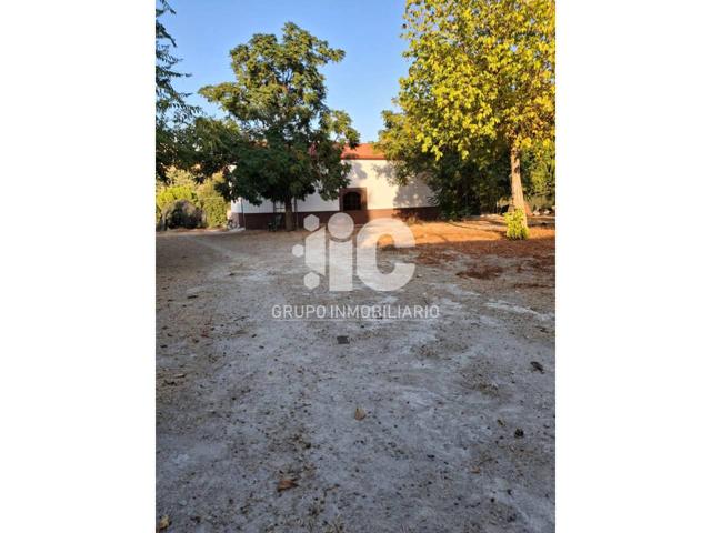 HUERTA A PIE DE CARRETERA POZO. NAVE LEGAL.  4.000M photo 0