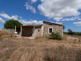 Finca rústica entre Manacor-Villafranca de Bonany photo 0