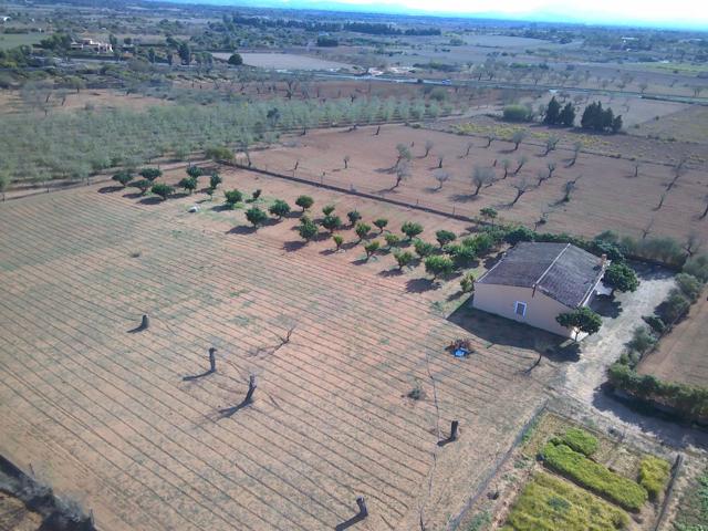 Finca rústica en Porreres photo 0