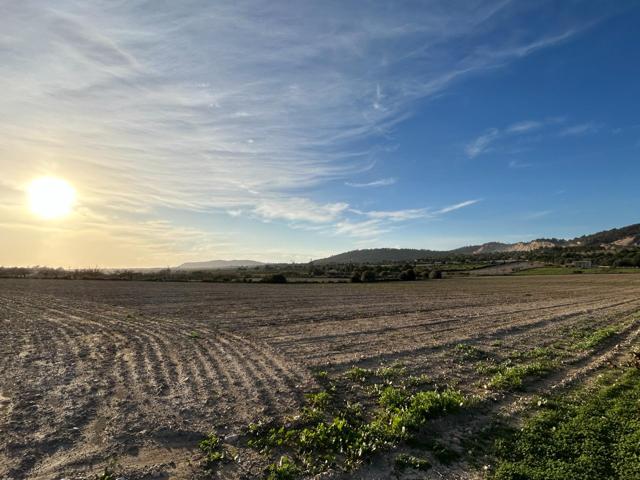 Finca rústica en Porreres en venta photo 0