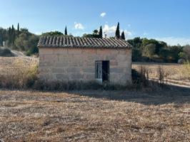 Se vende finca rústica con casita en Montuïri photo 0