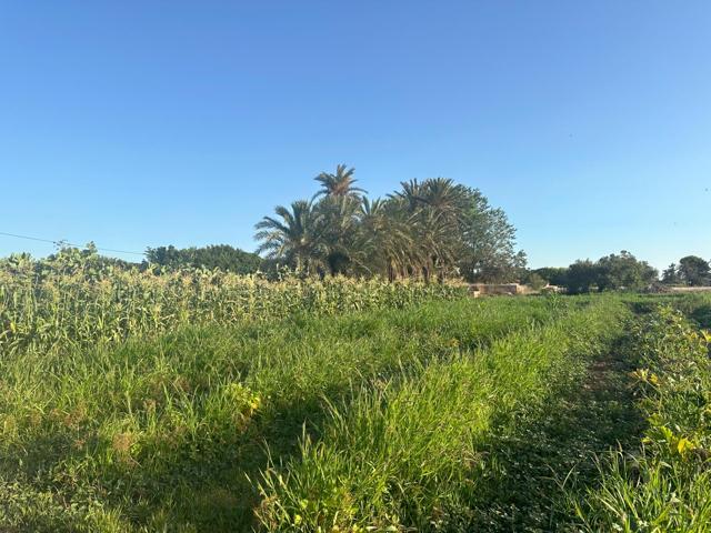 Finca rural dentro de ciudad con casa de campo photo 0