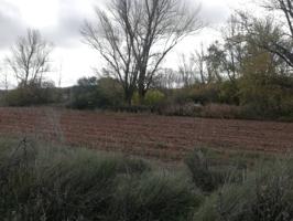 Terreno en venta en Modúbar de La Cuesta photo 0