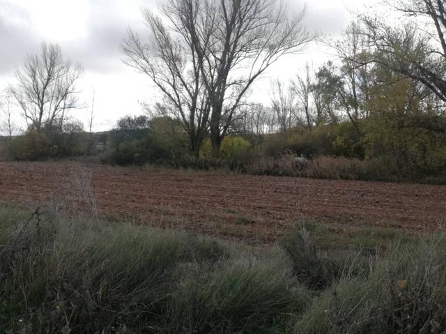 Terreno en venta en Modúbar de La Cuesta photo 0