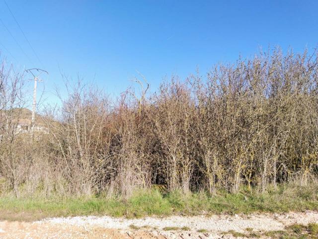 Terreno en venta en Modúbar de La Cuesta photo 0