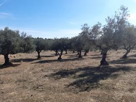 Granja En venta en San Vicente De Alcántara photo 0