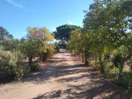 Terrenos Edificables En venta en Corazón De Jesús - El Plantío, Badajoz photo 0