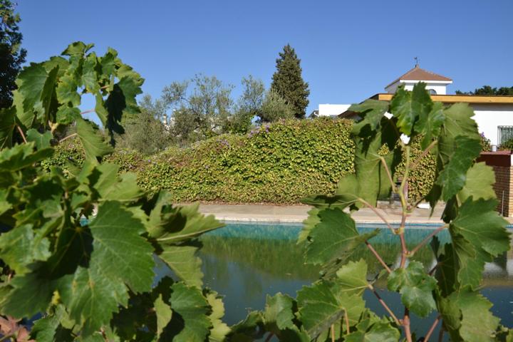 Magnifica parcela urbana con piscina y construcción en el corazón del pueblo photo 0