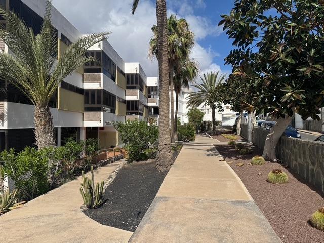 Apartamento en San Agustín - ¡A pocos metros de la playa y con vistas al mar! photo 0