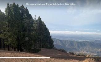¡La Finca de Sus Sueños en Canarias: Un Pedazo de Paraíso en las Nubes! photo 0